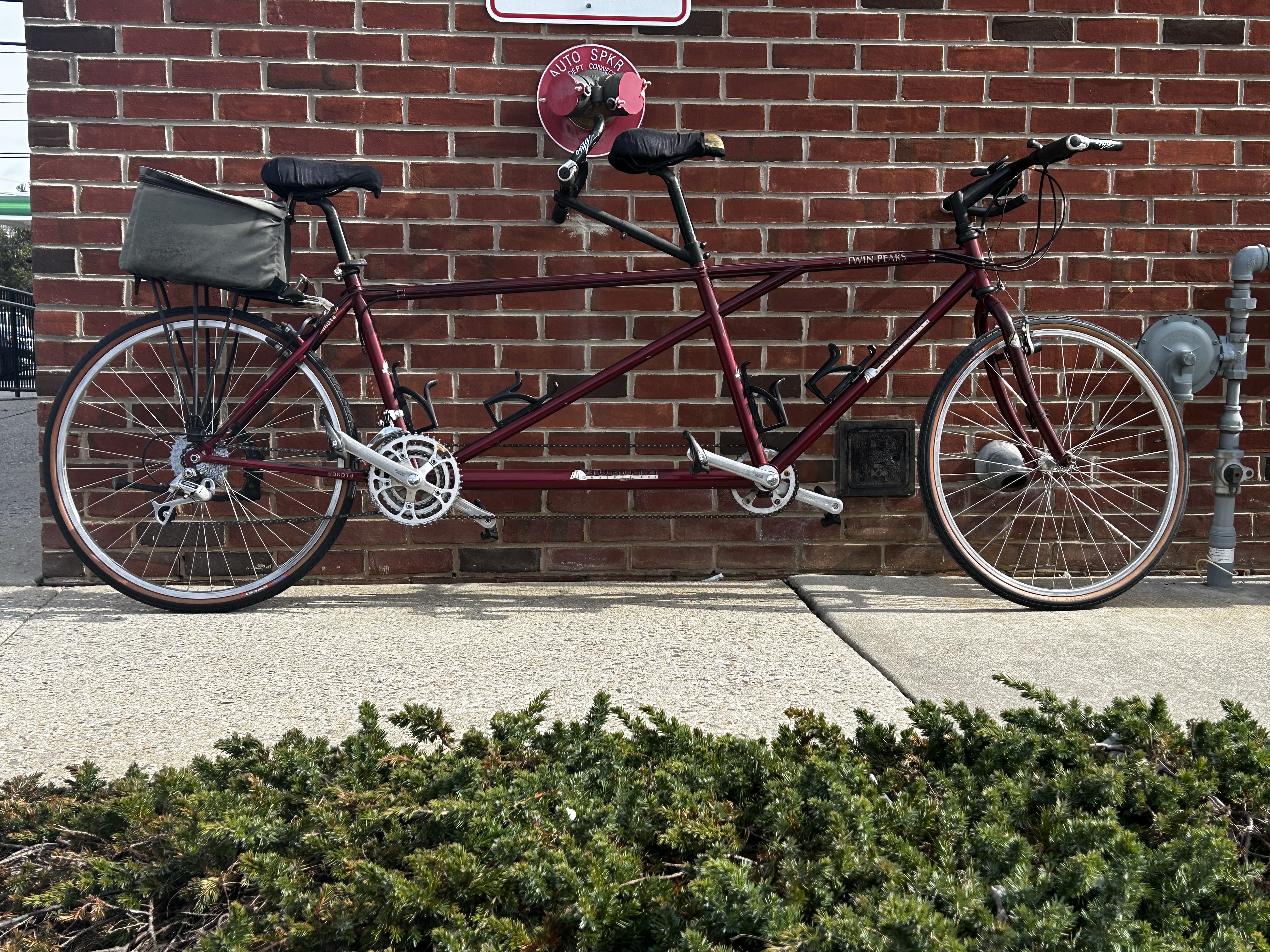 Yokota tandem online bike